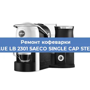 Чистка кофемашины Lavazza BLUE LB 2301 SAECO SINGLE CAP STEAM 100806 от накипи в Екатеринбурге